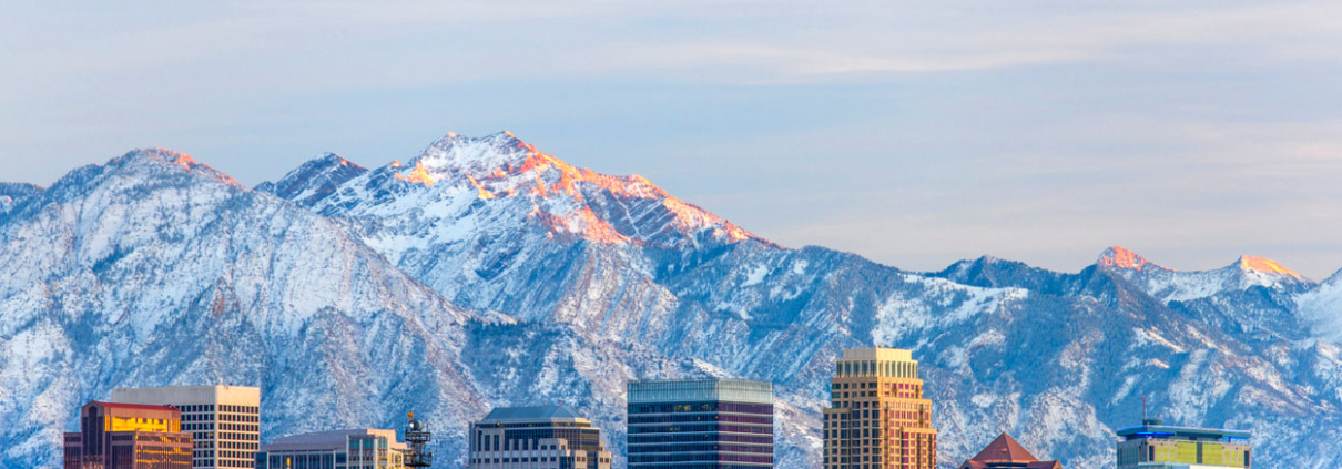 salt lake city dust free sanding
